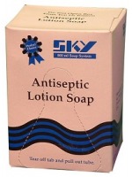Sky antiseptic hand soap with PCMX 800 ml