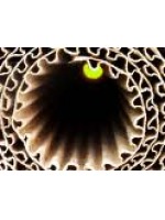 Corrogated Cardboard